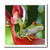 3D Rose Profile of A Red-Eyed Leaf Tree Frog Iron On Heat Transfer 10 x 10 White