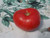 LGKO Amish Dexter Tomato S-e-e-d~s