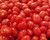 LGKO Roma Italian Tomato S-e-e-d~s