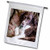 3dRose USA, Washington. English Springer Spaniel On Couch. - Garden Flag, 12 by 18"