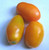 LGKO Golden Roma Tomato S-e-e-d~s