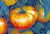 LGKO Pineapple Tomato S-e-e-d~s