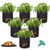 GROWNEER 6 Packs 7 Gallons Grow Bags Potato Planter Bag with Access Flap and Handles Planting Grow Bags Fabric Pots for Grow Vegetables Potato Carrot Onion with 15 Pcs Plant Labels