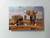 Triple Toggle -3-toggle- Light Switch Plate Cover - African Wildlife Safari Animals - Africa Elephants