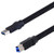 L-COM U3A00004-05M USB Cable Plastic Armored USB Type A Plug USB Type B Plug 0.5 m 1.6 ft USB 3.0 Black