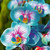 LGKO Seller 25 S-e-e-d-s Blue  and  Pink Orchids Flowérs Plánt