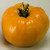 Nebraska Wedding Tomato - 50 S.e.e.d.s