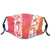 Activated carbon filter Windproof mask for UnisexFloral Leaves Swirls Seventeen Number With An Abstract Background