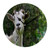 N-O Bathroom Clock Bedroom Wall Clock Goat Wall Clock Non-Ticking Silent Clocks for Living Room Decor