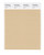PANTONE Smart 14-1118X Color Swatch Card Beige