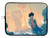 Brand3 Radiant Anime Laptop Sleeve Bag Mousepad Surface Anime Bag 13 13.3 Inch Anime Computer Bag Laptop/Tablet Water Repellent Neoprene Cushioned Case