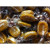 Butterscotch - 454g -one old fashioned pound-