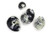 Hypnotic Gems Gallery: 3 pcs of Goniatite Fossil Specimens - 2" Average Size Polished Superior Grade Fossils - Collecting, Display Specimens, Education and Teaching