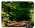 Mouse Pad - Forest Autumn Forest Path Leaves Away Forest Floor