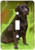 3dRose lsp_3892_1"Black Labrador Retriever" Single Toggle Switch