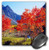 3dRose USA, California, Sierra Nevada. Aspen Trees in Autumn Mouse Pad, 8" x 8" (mp_206118_1)