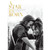 Star Is Born, A -DVD-