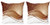 Ambesonne Chocolate Decorative Throw Pillow Case Pack of 2, Brown Toned Classical Medieval Foliage Motifs with Curved Stripes Pattern, Couch Bedroom Living Room Cushion Cover, 16", Pale Brown Beige