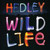 Wild Life