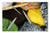 LESGAULEST Doormat Floor Rug/Mat -23.6 x 15.7 inch- - Wool Knit Cat Cradle Hand Labor Knitting Needles