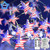 FastDeng 10FT Independence Day Star String Lights, 40 American Flag Lights with Timer for 4th of July, 8 Modes by Remote, Battery Operated, Waterproof, Dimmable, Indoor/Outdoor Garden Decor