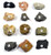 Eisco Metamorphic Rocks Kit - Contains 12 specimens Measuring Approx. 1" -3cm-