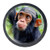 Idealiy Chimpanzee in Forest Cabinet Dresser Drawer Knobs Glass Pull Handle for Cabinet Door Wardrobe Cupboard