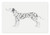 Lunarable Dalmatian Pet Mat for Food and Water, Puppy Pattern Pets Friend Animal Lovers Cartoon Print, Non-Slip Rubber Mat for Dogs and Cats, 18" X 12", Grey White