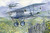 Roden Pfalz D.III German Biplane Fighter Model Kit
