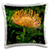 3dRose Danita Delimont - Flower - Orange Pincushion Flower - Pillow Cases -pc-345161-1-