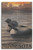 Lantern Press Minnesota Loons -10x15 Wood Wall Sign, Wall Decor Ready to Hang- Lantern Press Minnesota Loons -10x15 Wood Wall Sign, Wall Decor Ready to Hang-