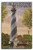 Lantern Press St. Augustine, Florida Lighthouse -10x15 Wood Wall Sign, Wall Decor Ready to Hang-
