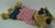 Limited Edition Scooby-doo 11 Inch Plush - Scooby with Pirate Outfit