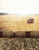 Stone Floor Brick Wall Yellow Grass Photography Backdrops Photo Props Studio Background 5x7ft