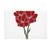 DIYthinker Leaves Plant Carnation Flower Plant Ground Mat Non Slip Floor Bathroom Door Rug Carpet