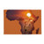 DIYthinker Lion Prairie African Continent Name Map Ground Mat Non Slip Floor Bathroom Door Rug Carpet