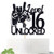 Black Glitter Level 16 Unlocked Game Birthday Cake Topper - Boy's 16th Birthday Cake Decorations - Sweet 16 - Video Game Theme Cake Topper - Level Up Winner Party Decoration Supplies