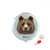 Giant Wild Brown Bear Animal Pill Case Pocket Medicine Storage Box Container Dispenser