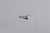 TRV Screw Cord Holder -All Models-  01-5615-02