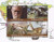 Chad - 2018 Discoveries of Darwin - 4 Stamp Sheet - 3B-595