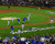 MLB Kansas City Royals 2015 World Series Champions Team Celebration Photo -Size: 8" x 10"-