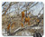 Mouse Pad - Tree Nature Winter Yellow Leaves Sheet