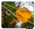 Mouse Pad - Nature Sheet Tree Outdoors Plant