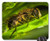 Mouse Pad - Nature Insect Krupnyj Plan Animals Sheet Macro