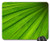 Mouse Pad - Sheet Green Structure Detail Macro Plant Texture