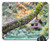 Mouse Pad - Tree Nature Wood Sheet Plant Feeder Branch