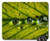 Mouse Pad - Pearl Plant Sheet Rosa Nature Macro
