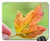 Mouse Pad - Sheet Hand Autumn Colored Nature Fallen Leaves
