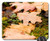 Mouse Pad - Sheet Autumn Listopad Drops Rain Autumn Nature