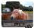 Mouse Pad - Horse Stable Ranch Animal Farm Equine Mane